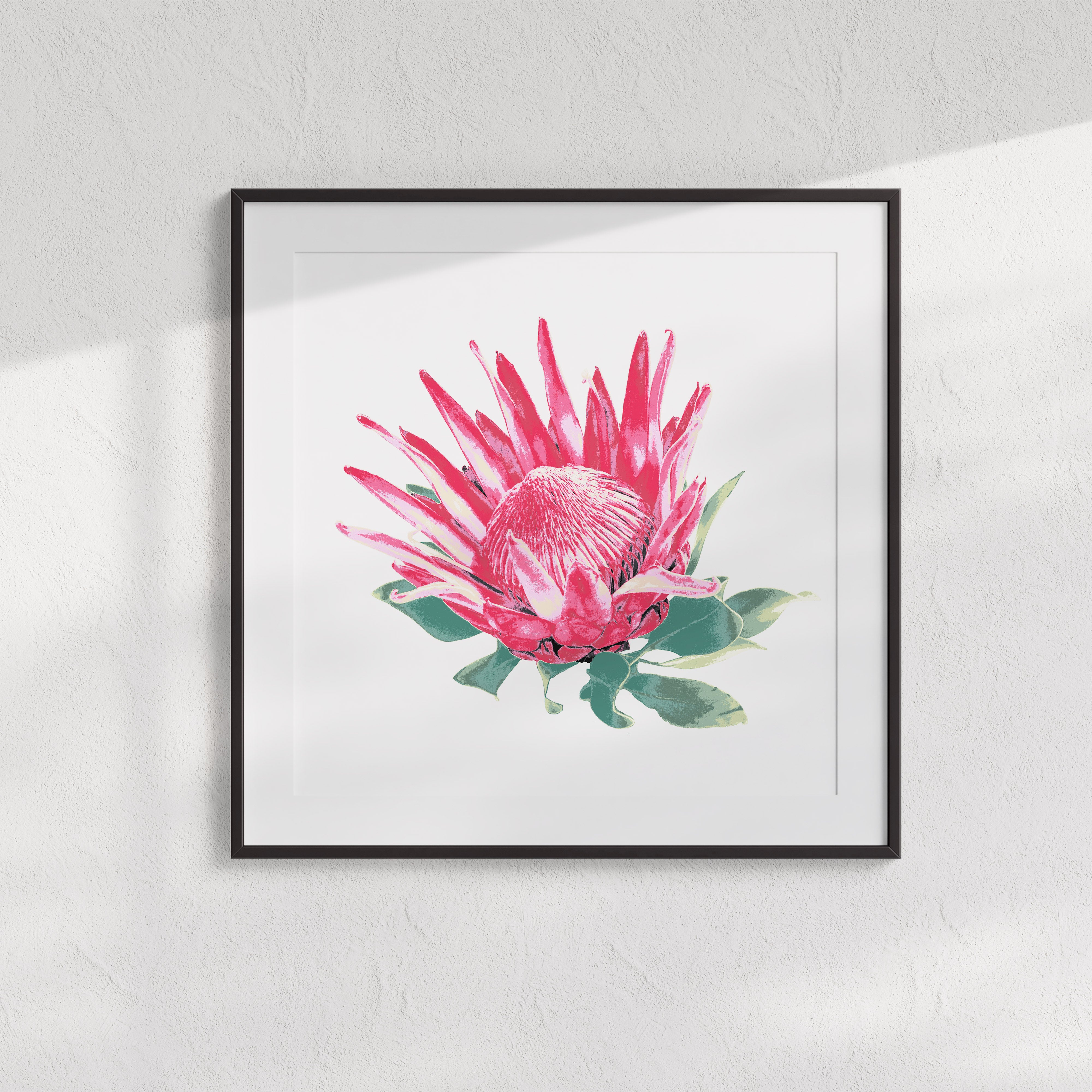 Protea (Soft Bloom) Print