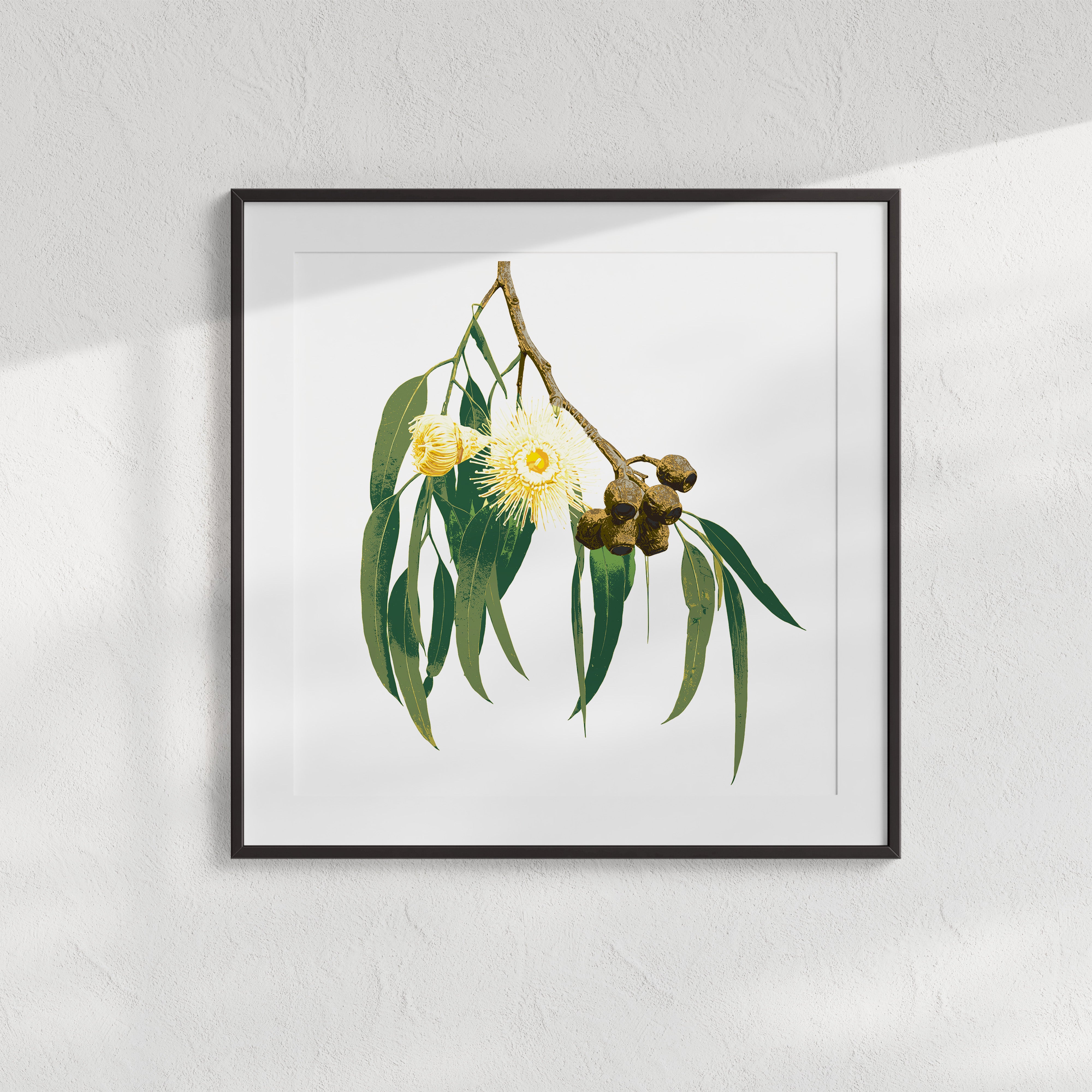 Eucalypt (Golden Haze) Print