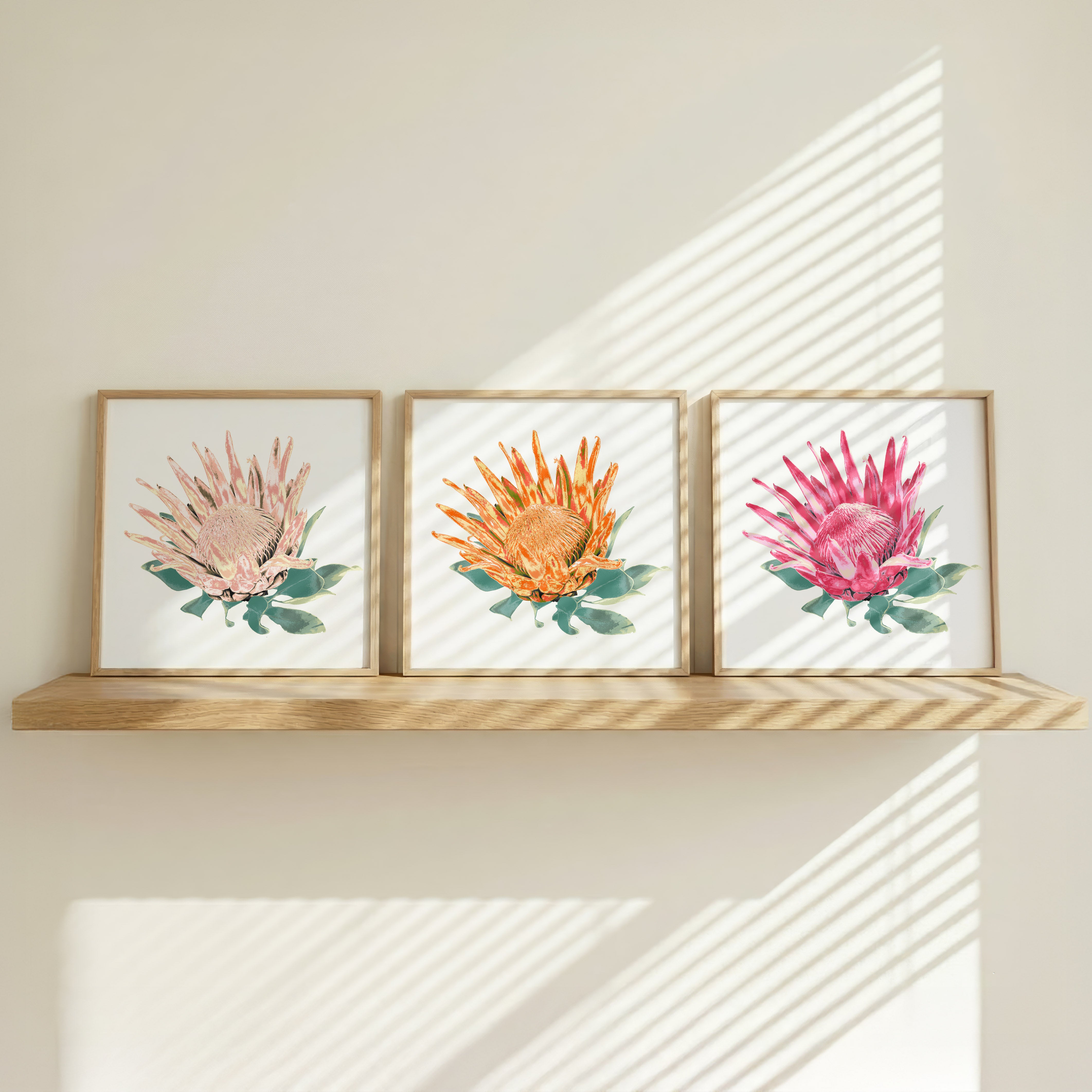 Protea (Trio) Print