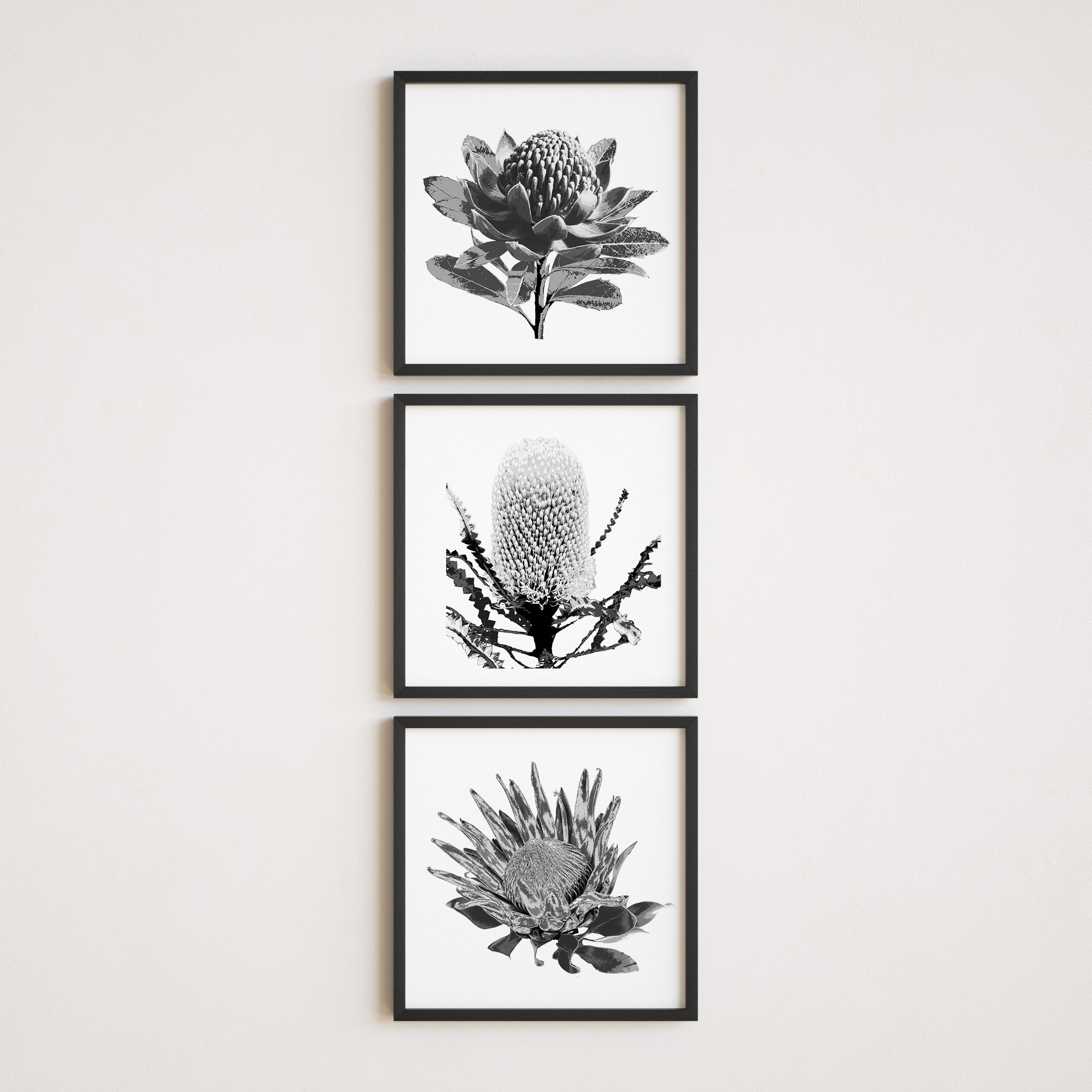 Tonal (Trio) Print