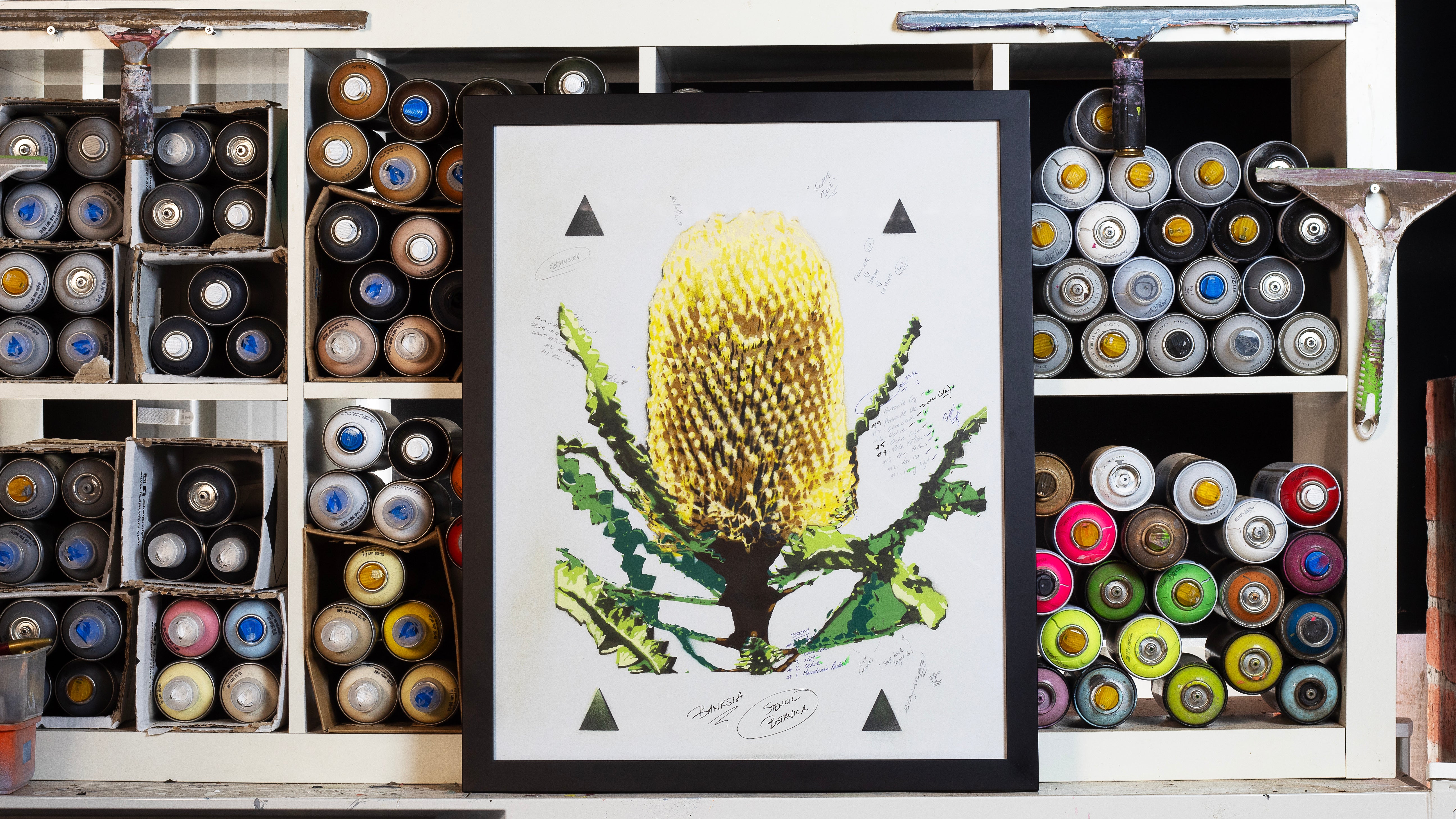 Banksia (Studio Proof)