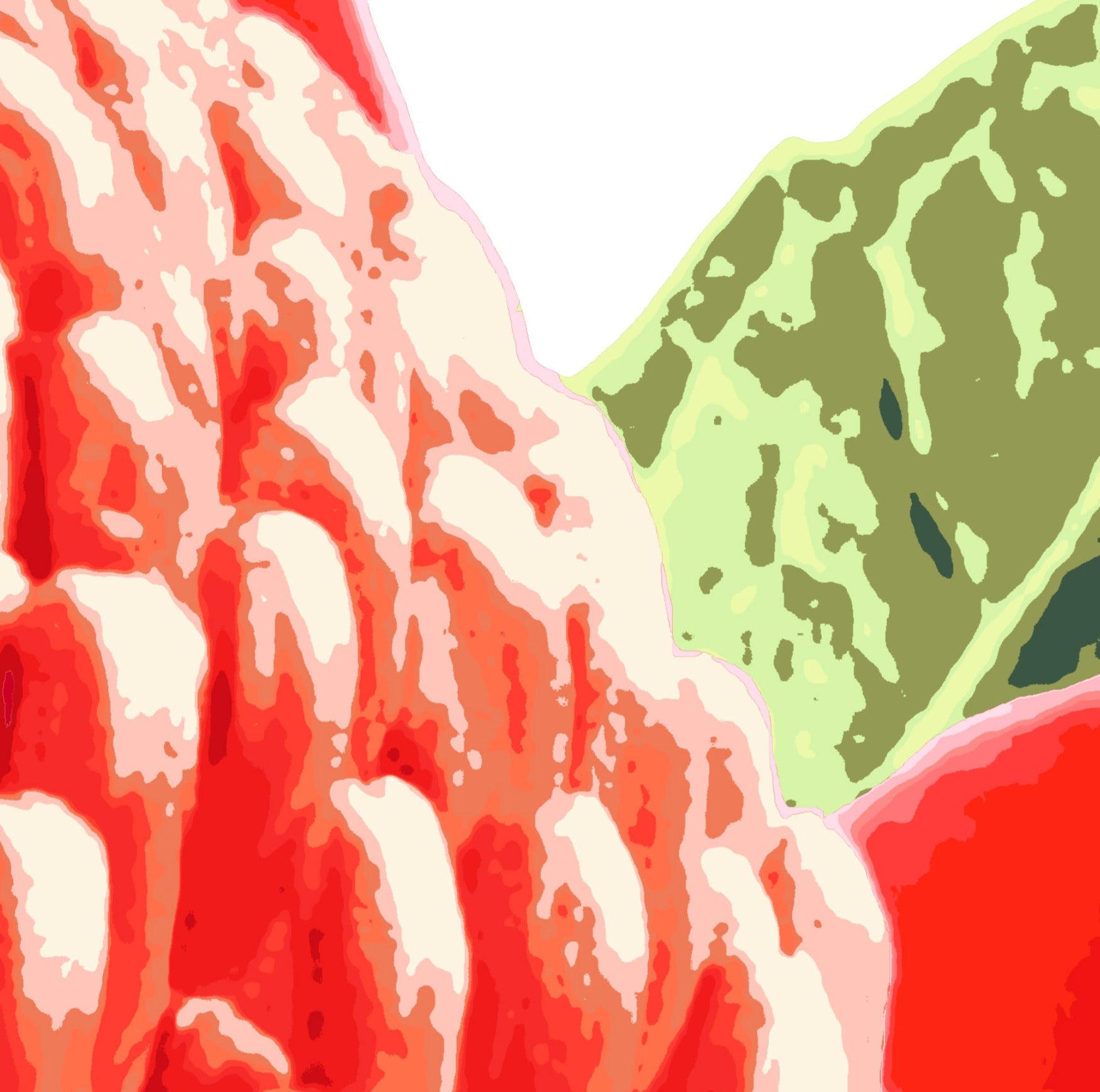 Waratah (Ember Bloom) Print