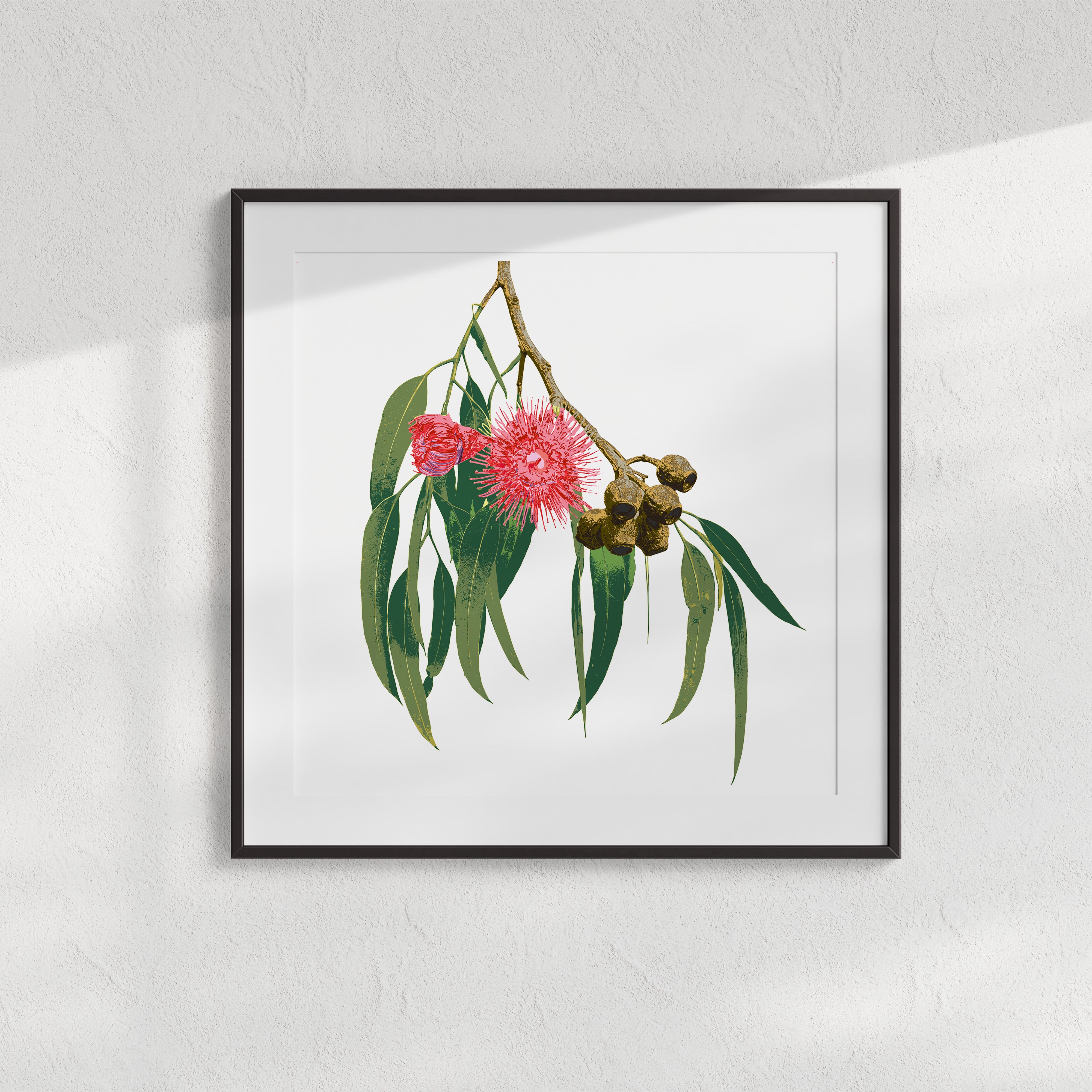 Eucalypt (Ash Bloom) Print