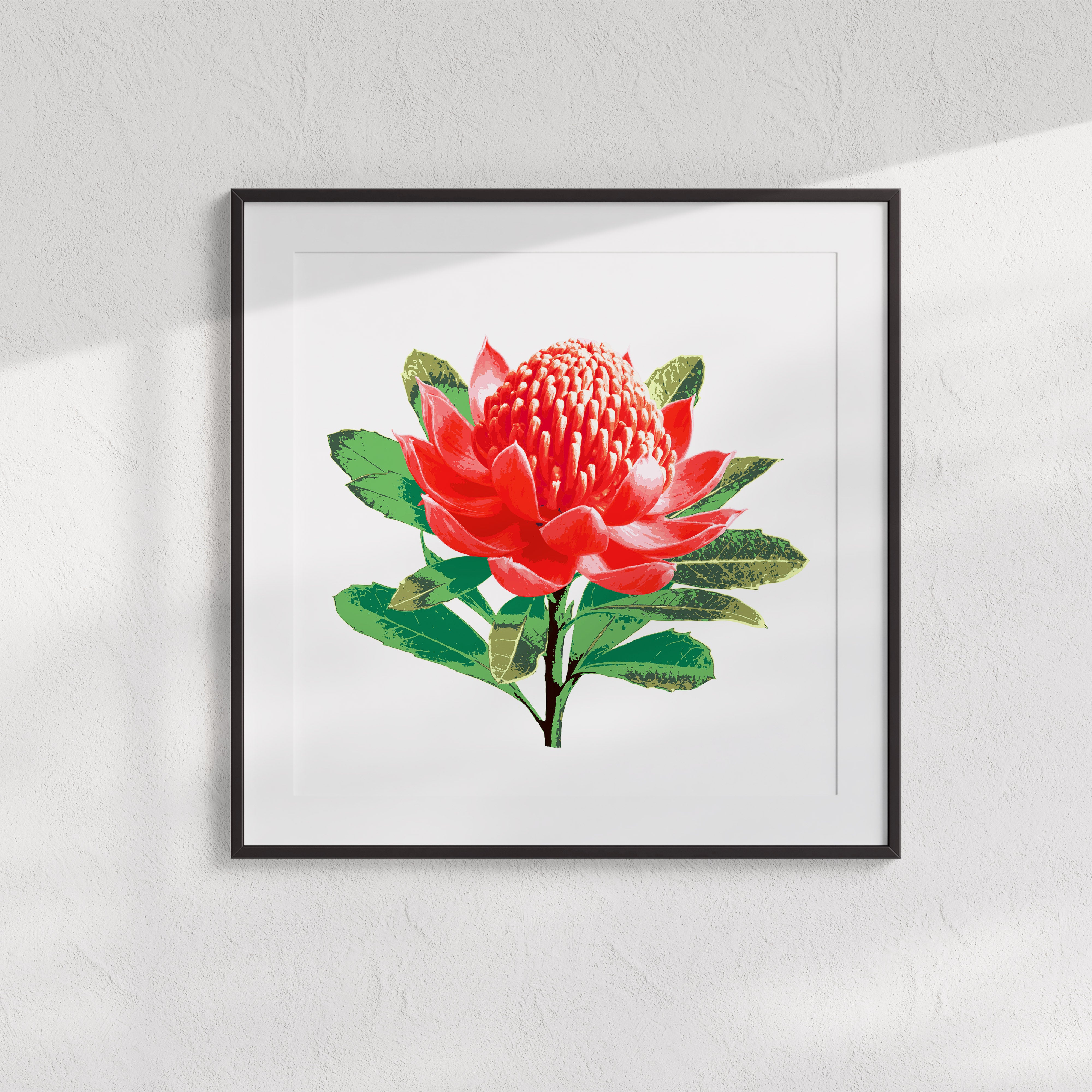 Waratah (Ember Bloom) Print