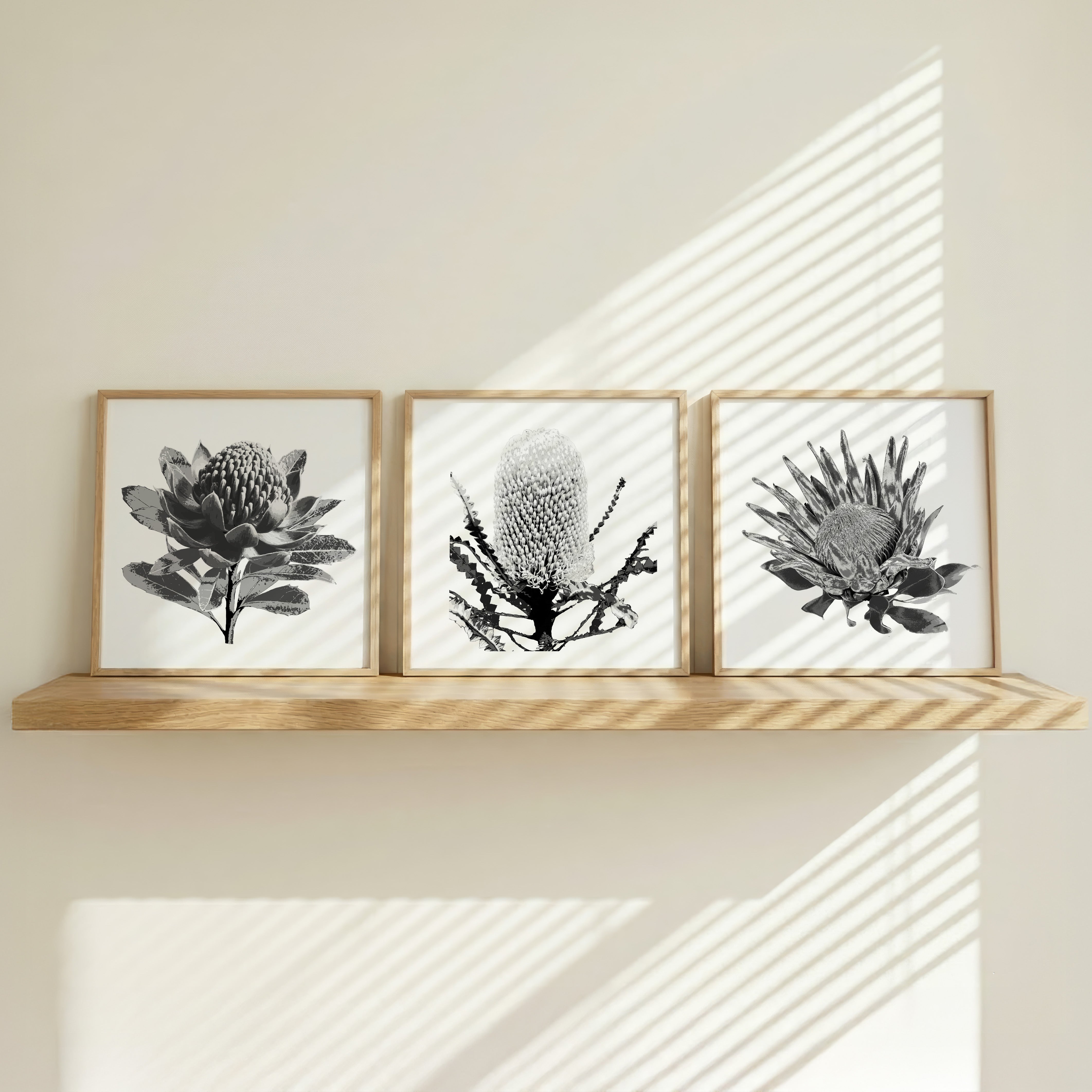 Tonal (Trio) Print