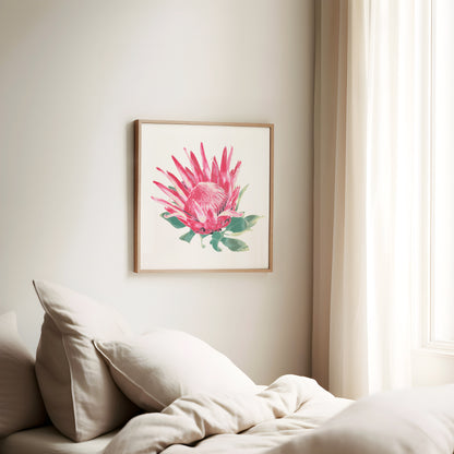 Protea (Soft Bloom) Print