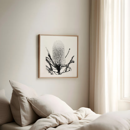 Banksia (Tonal Edition) Print