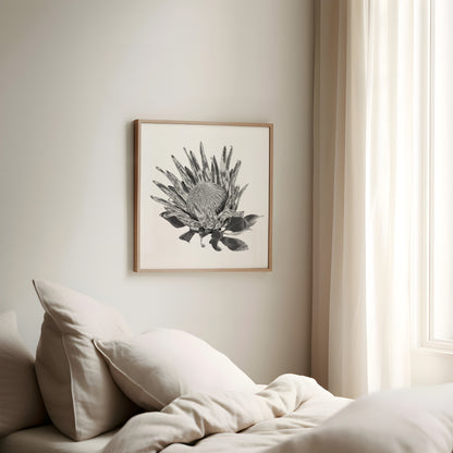 Protea (Tonal Edition) Print