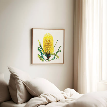 Banksia (Coastal Gold) Print
