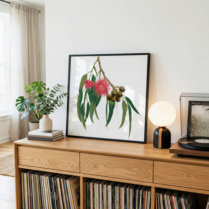 Eucalypt (Ash Bloom) Print