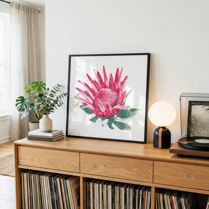 Protea (Soft Bloom) Print