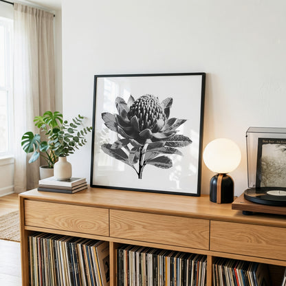 Waratah (Tonal Edition) Print