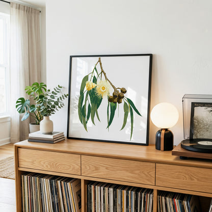 Eucalypt (Golden Haze) Print