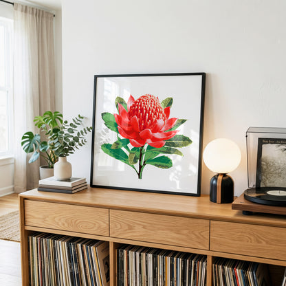 Waratah (Ember Bloom) Print