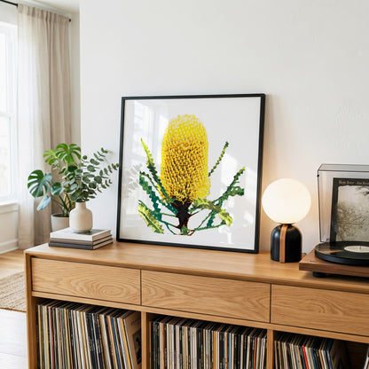 Banksia (Coastal Gold) Print