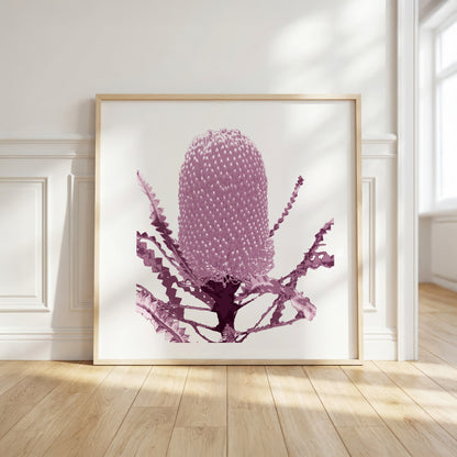 Banksia (Dusty Plum) Print