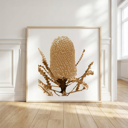 Banksia (Warm Earth) Print
