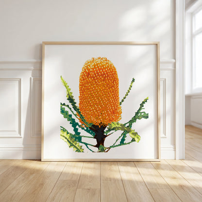 Banksia (Sunset Flame) Print