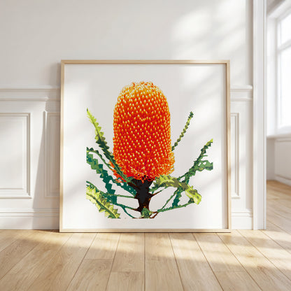 Banksia (Burnt Ember) Print