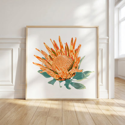 Protea (Ember Glow) Print