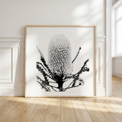 Banksia (Tonal Edition) Print