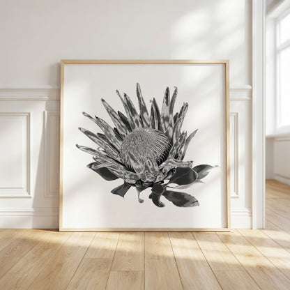 Protea (Tonal Edition) Print