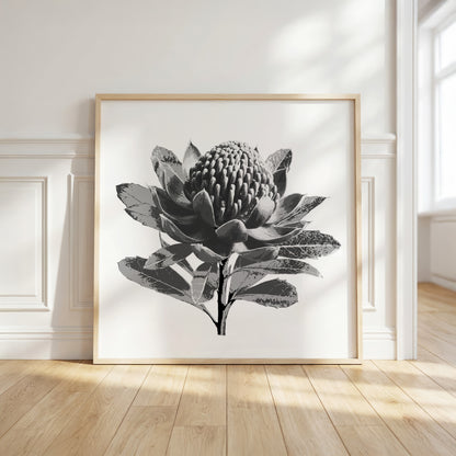 Waratah (Tonal Edition) Print