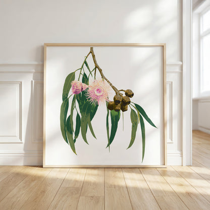 Eucalypt (Soft Ember) Print