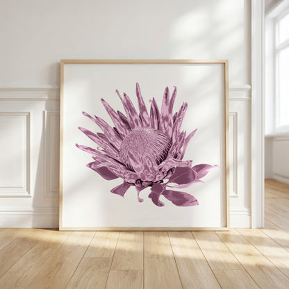 Protea (Dusty Plum) Print