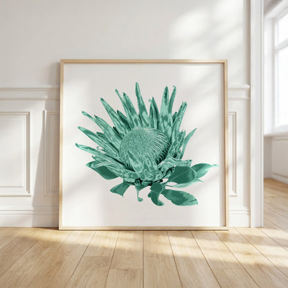 Protea (Mineral Sage) Print
