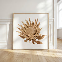Protea (Warm Earth) Print