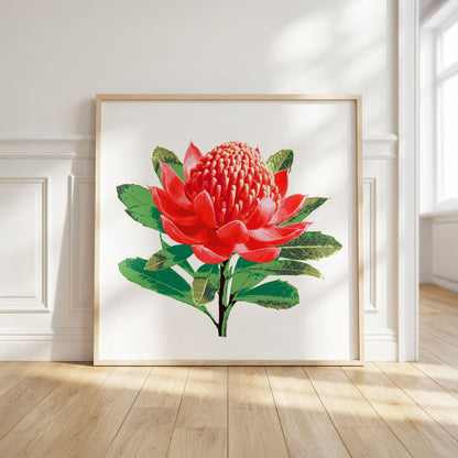 Waratah (Ember Bloom) Print
