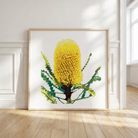 Banksia (Coastal Gold) Print