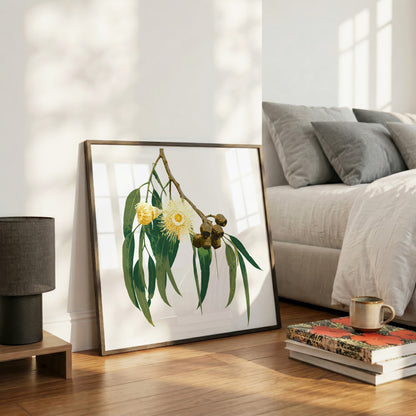 Eucalypt (Golden Haze) Print