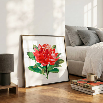 Waratah (Ember Bloom) Print