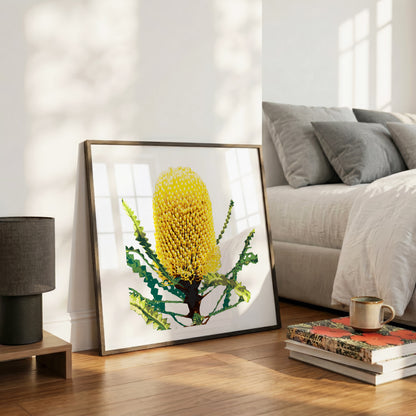 Banksia (Coastal Gold) Print