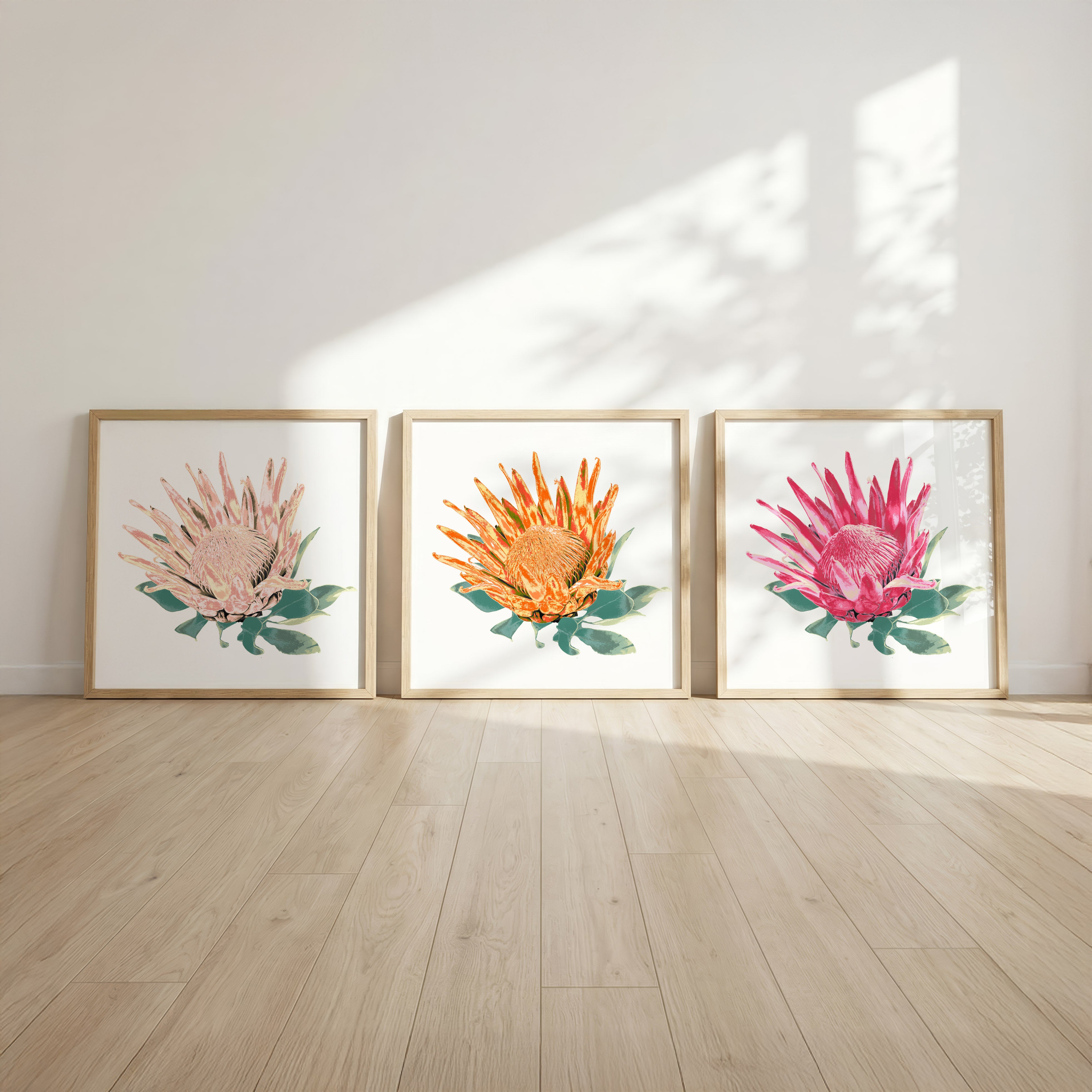 Protea (Trio) Print