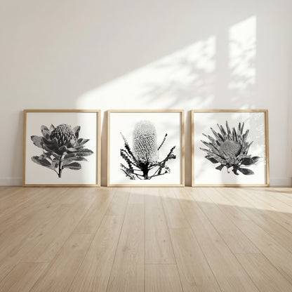 Tonal (Trio) Print