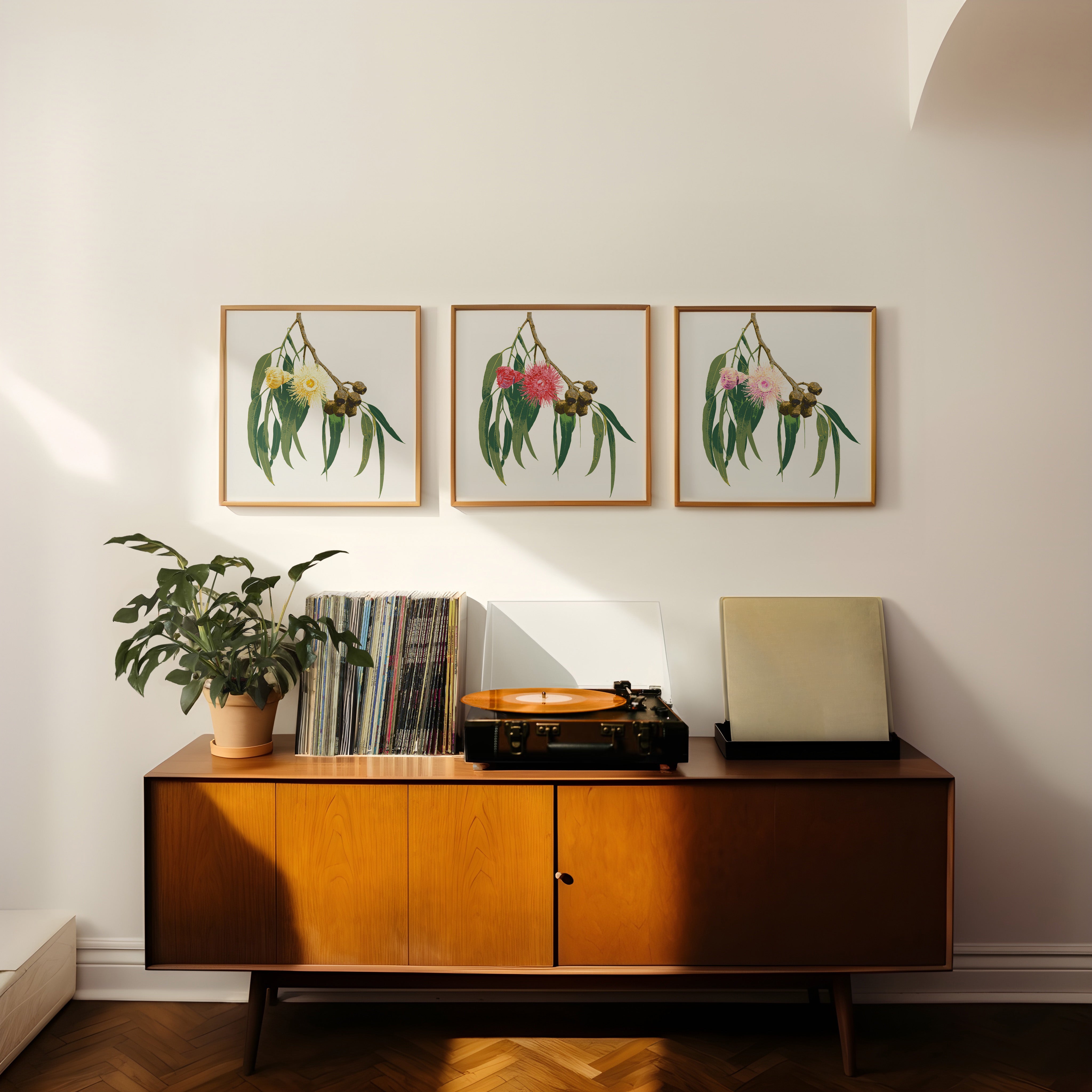 Eucalypt (Trio) Print