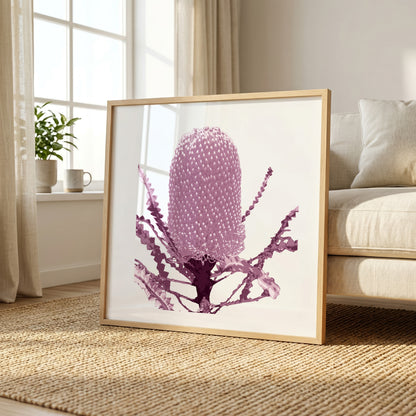 Banksia (Dusty Plum) Print