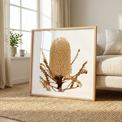 Banksia (Warm Earth) Print
