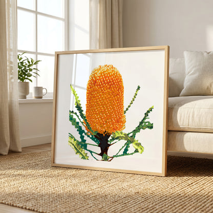 Banksia (Sunset Flame) Print