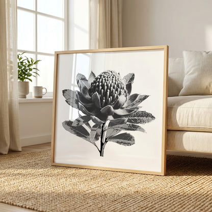 Waratah (Tonal Edition) Print