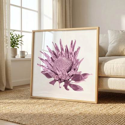 Protea (Dusty Plum) Print