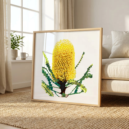 Banksia (Coastal Gold) Print