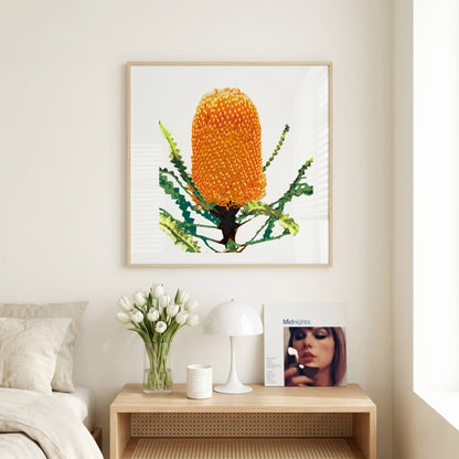 Banksia (Sunset Flame) Print