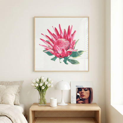 Protea (Soft Bloom) Print