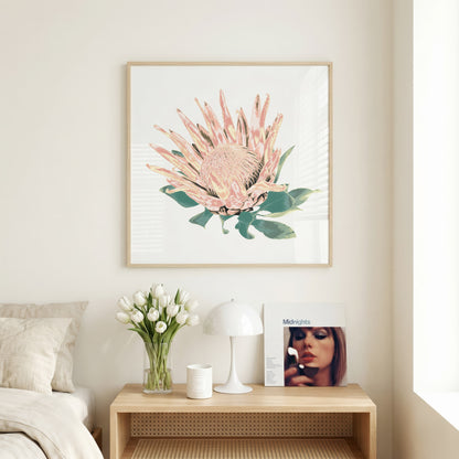 Protea (Blush Dusk) Print