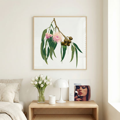 Eucalypt (Soft Ember) Print