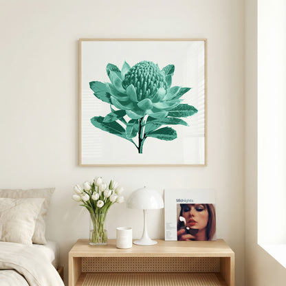 Waratah (Mineral Sage) Print